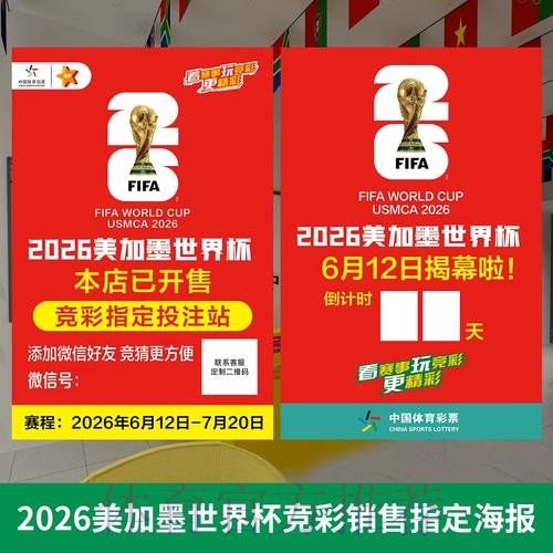 2026年世界杯投注安全指南与深度解读