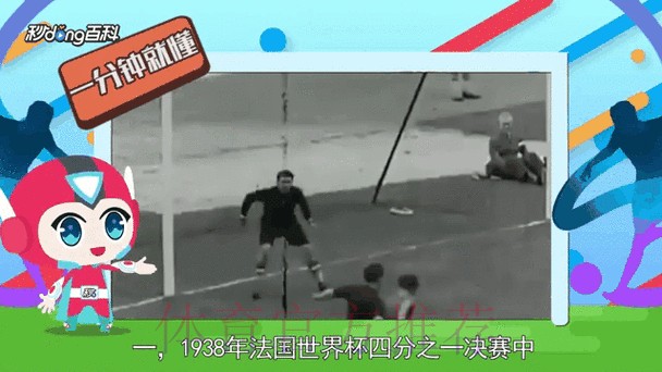 世界杯最新比分动态深度解析